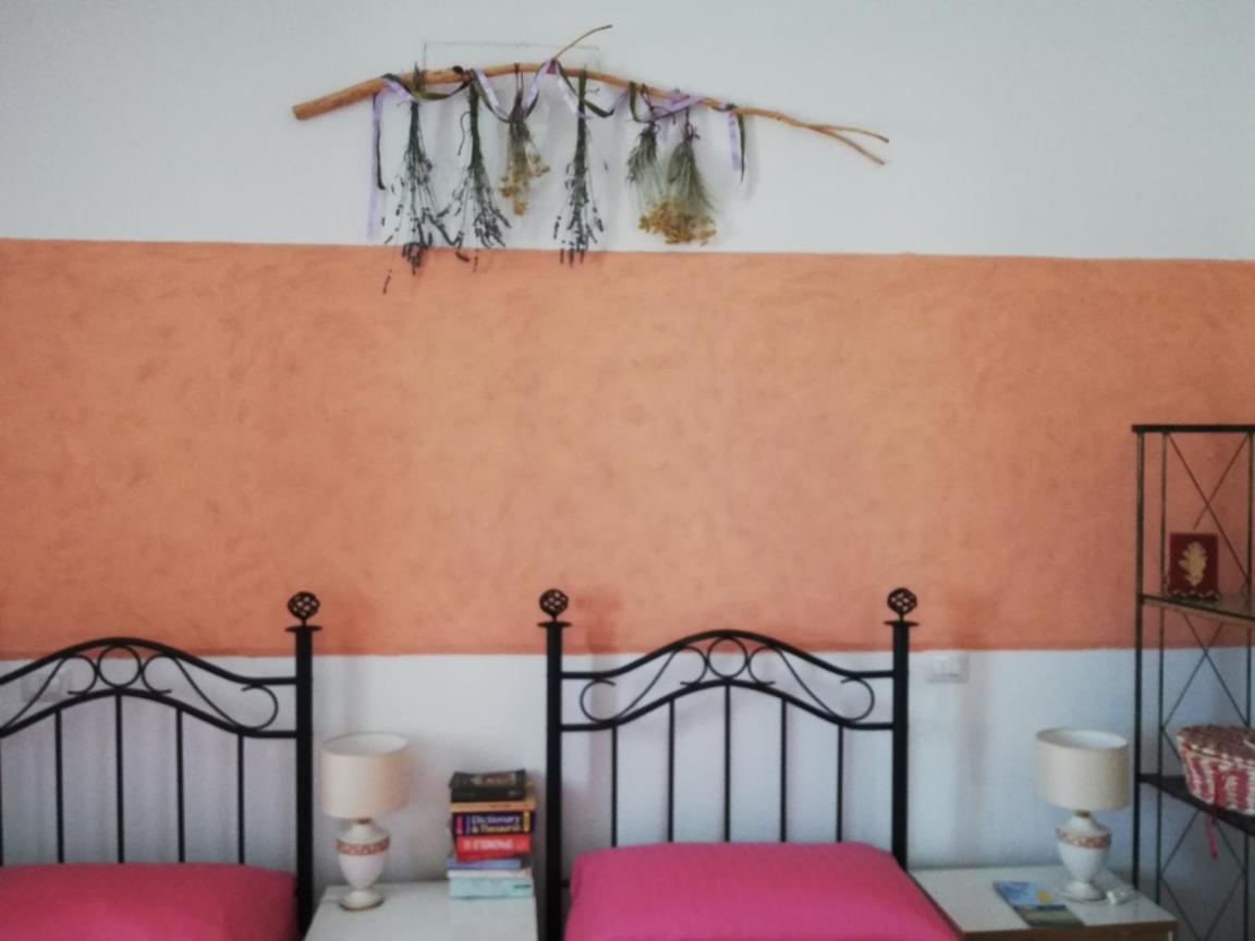 Insula -- Telti Hotel Bagian luar foto
